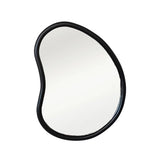 Organic Shaped Wall Mirror