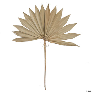 Small Palm Fan Leaf S/3